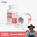 StrongRoot: Foundation Blend