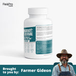 StrongRoot: Joint Revival